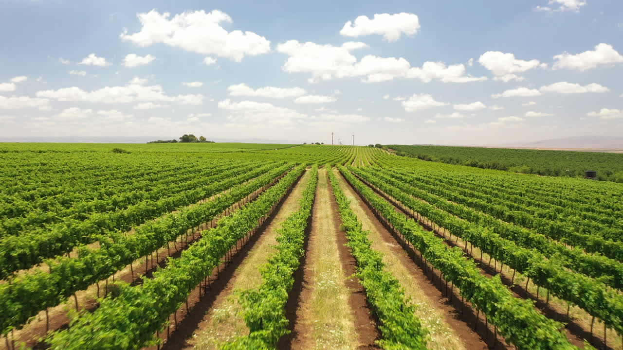 volar a través de la bodega tabor disparo de dron norte de israel kineret ver campo de viñedos
