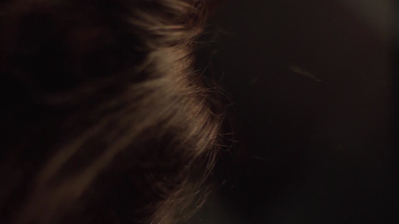 fondo oscuro y abstracto borroso