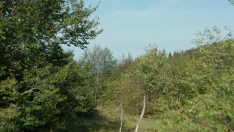 Paisaje-Otoñal-De-Colinas-Y-Bosques-En-La-Mañana-Nublada