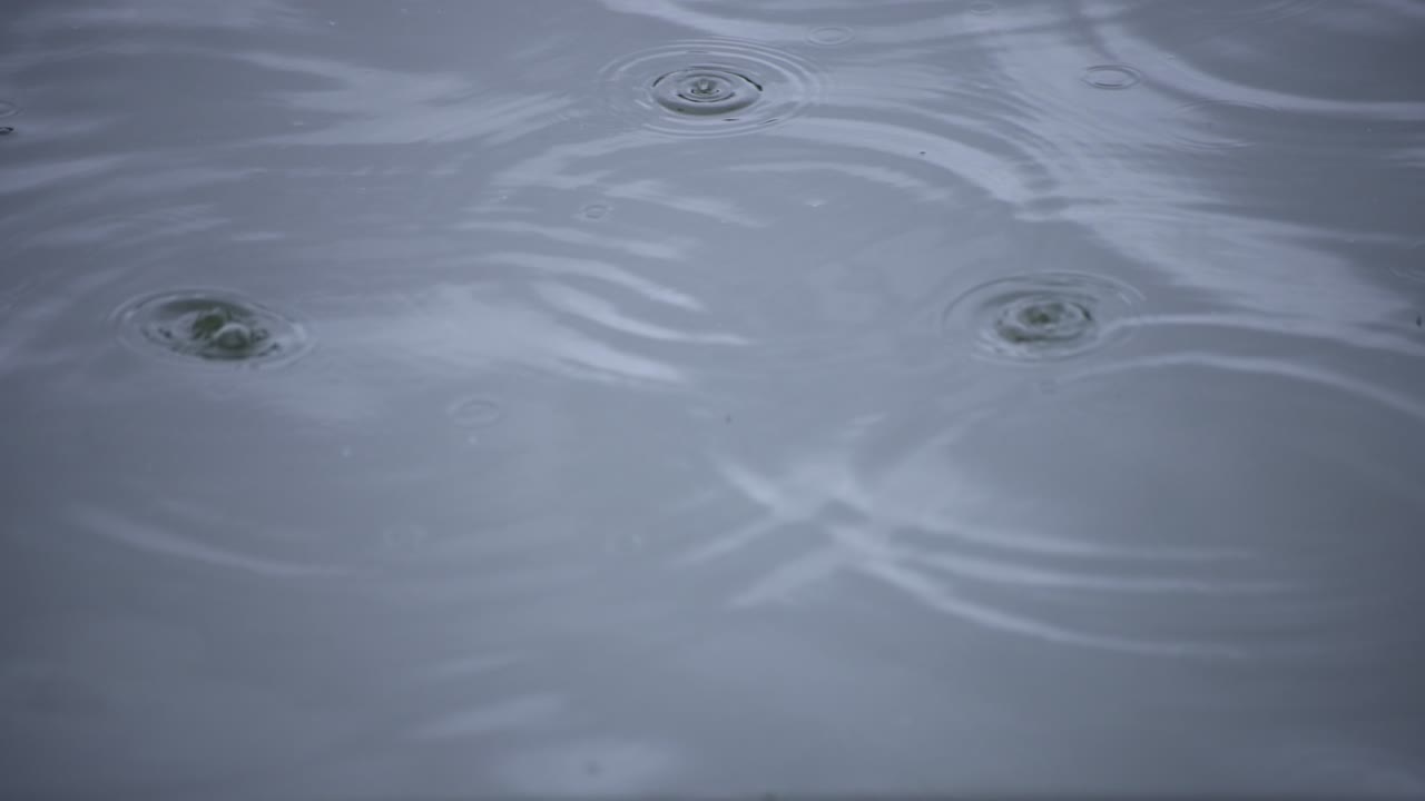 물속의 방울의 느린 움직임 연못의 비가 오는 날 클로즈업