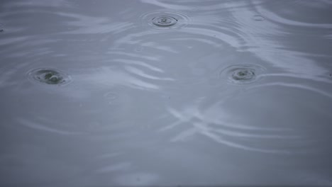 a slow motion of rain drop in the water the pond rainy day closeup