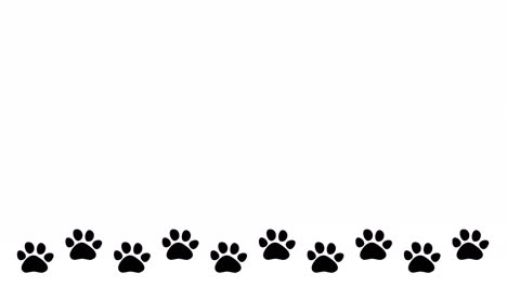 a cute animated loop video of moving animal paw prints.