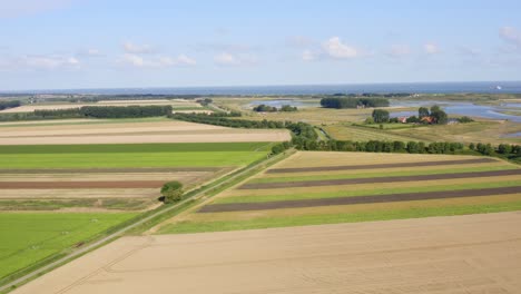Aerial-approach-over-the-summer-fields-to-the-Waterdunes---a-nature-area-and-recreational-park-in-the-province-of-Zeeland,-The-Netherlands