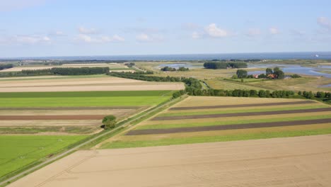 aerial approach over the summer fields to the waterdunes - a nature area and recreational park in the province of zeeland, the netherlands