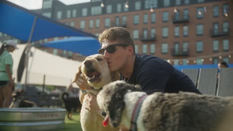 a man plays with dogs at outdoor urban dog park