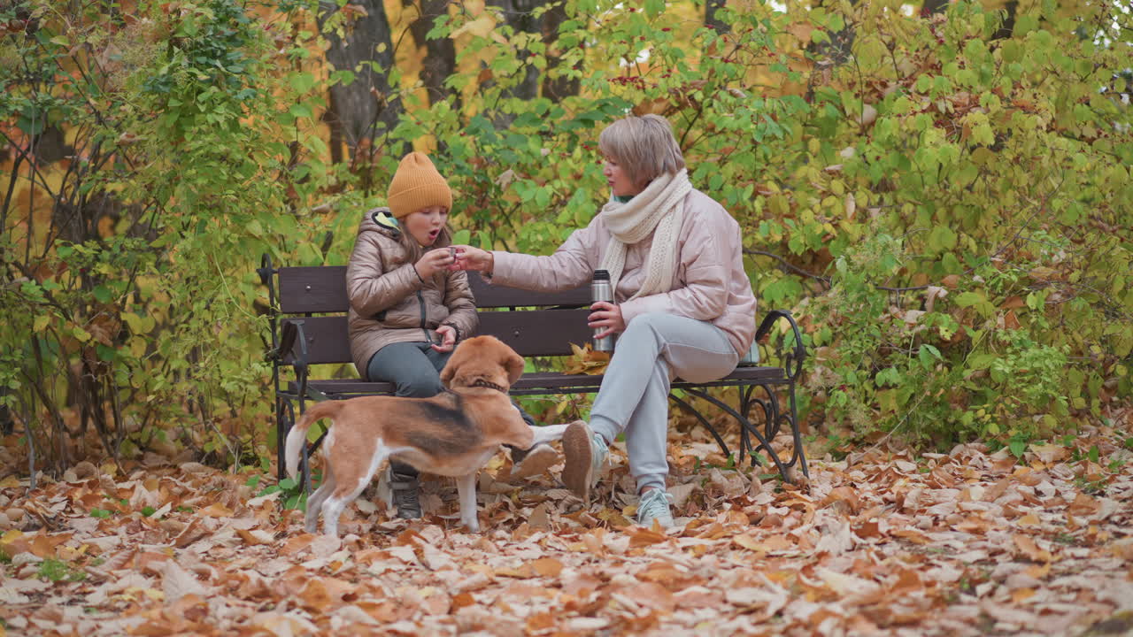 Woman seated on bench gives warm drink to daughter who gently blows it to cool, beagle stands with paw on her leg watching intently, surrounded by fallen golden leaves and colorful forest backdrop