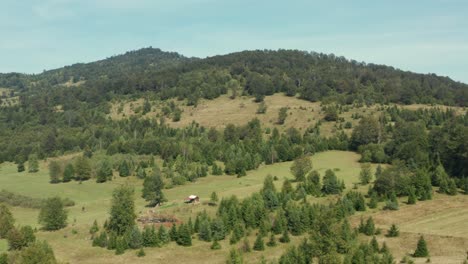 mountain landscape with lush vegetation, mountain radocelo, serbia at daytime - aerial drone shot