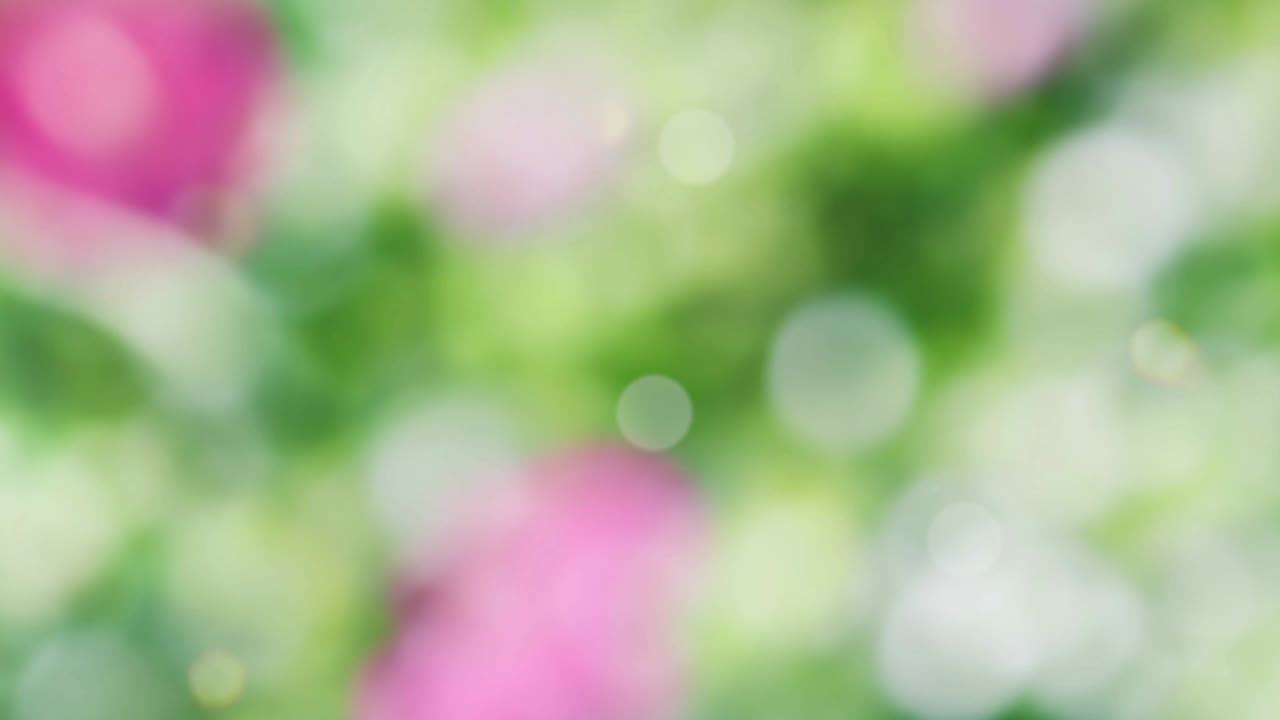 fondo de resorte abstracto con bokeh