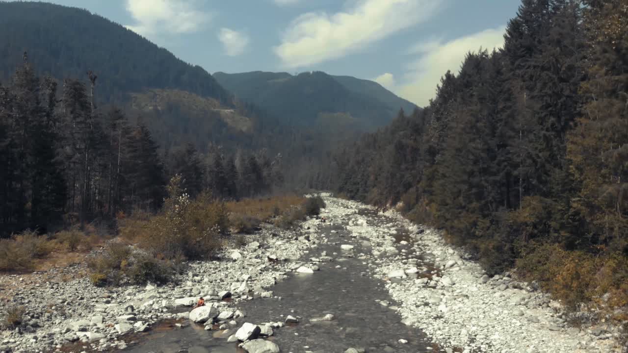 A rocky mountain river surrounded by trees
