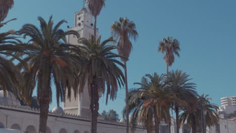 mezquita de maghrebi y andalucía