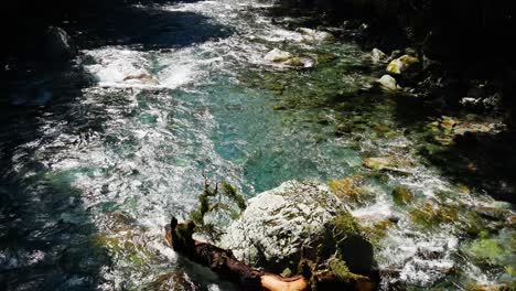 Slowly-flowing-transparent-stream-with-fresh-water-of-mountains-during-sunny-day-in-national-park-of-new-zealand