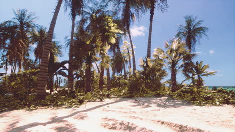 Vista-De-Una-Bonita-Playa-Tropical-Con-Palmeras-Alrededor