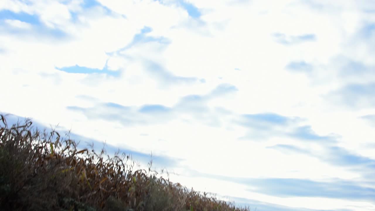 땅에서 하늘까지 촬영된 영상