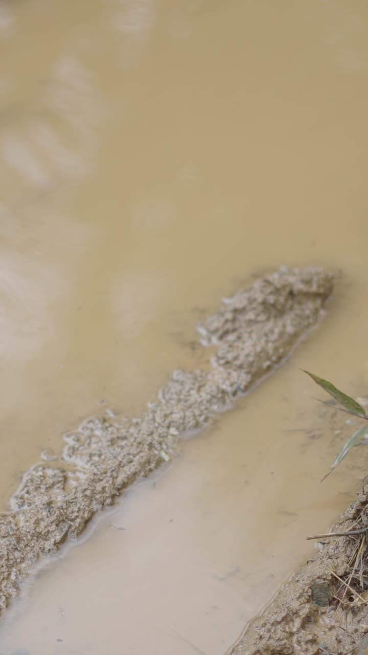 Muddy water puddle