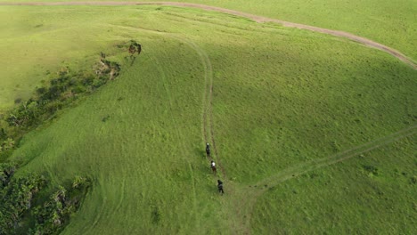 Aerial-pan-down-over-people-riding-horses-near-rocky-ocean-coast