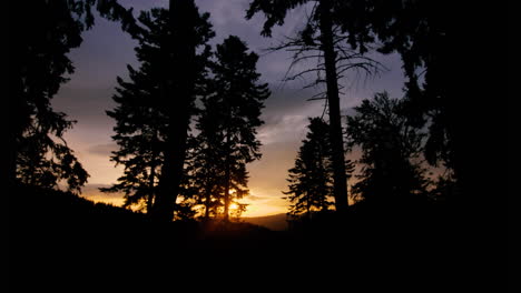 Zeitraffer-Des-Sonnenaufgangs-Im-Bergwald-Mit-Fichtensilhouetten-Und-Sich-Bewegenden-Wolken