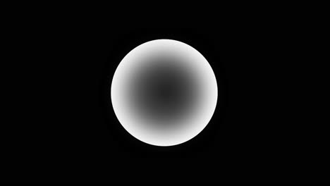 white egg on black background