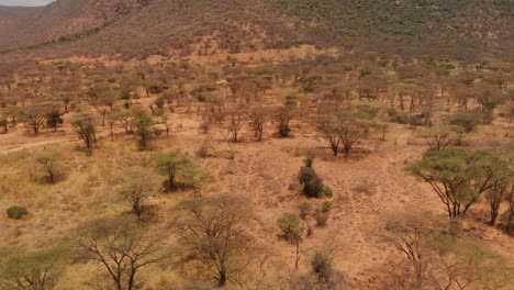 motorbike driving next to the sacred samburu mount ololokwe in northern kenya