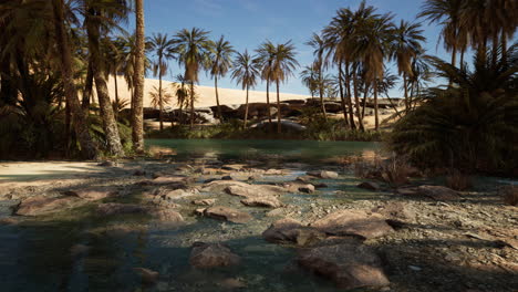 Estanque-Y-Palmeras-En-Un-Oasis-En-El-Desierto