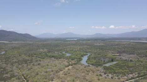 wide rainforest at the trinity forest reserve in east trinity, queensland, australia - aerial drone shot