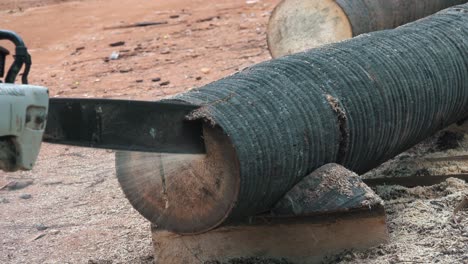 Close-Shot-of-a-Chainsaw-Cutting-a-Tree-Trunk