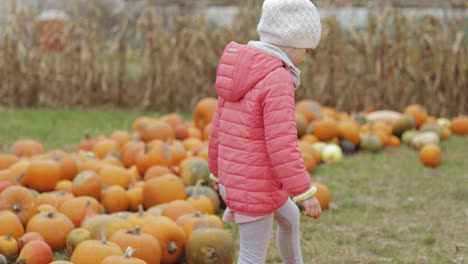 girl playing with pumpkins in garden