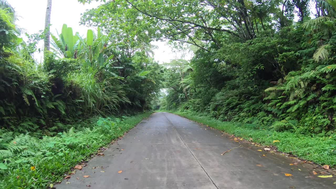 아시아 4k의 외딴 정글 도로를 운전하는 pov