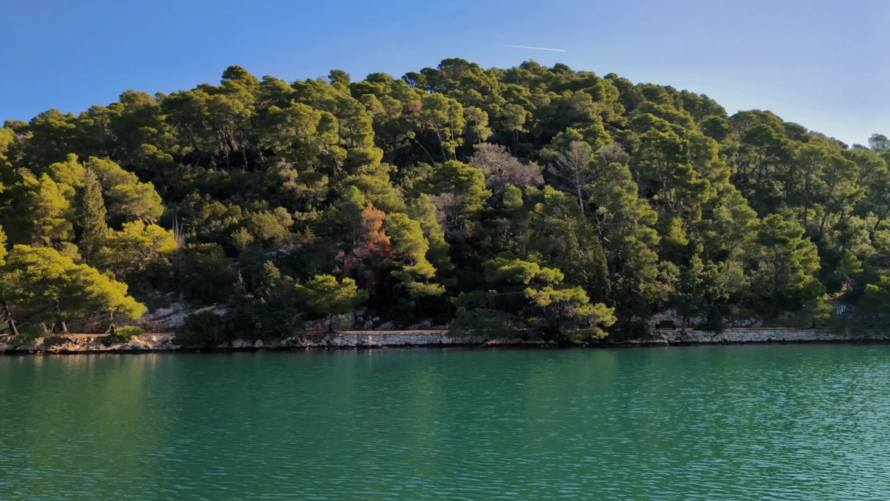 Isola verde lussureggiante in riva al mare, foresta incontaminata protetta in un parco nazionale, Mediterraneo, Isola di Mljet, Croazia.