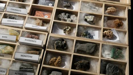 geology mineral collection of various sedimentary metamorphic and igneous rocks