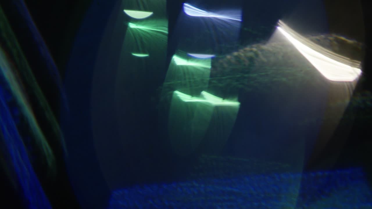 guirnaldas, deslumbramiento, fuera de foco y en foco