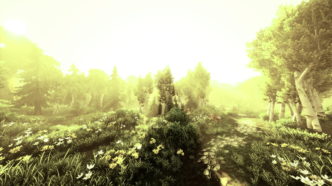 Enchanting forest path illuminated by golden sunlight in early morning glow