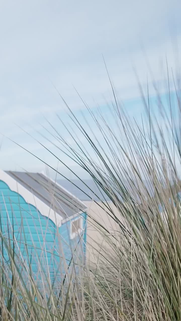 Seaside beach huts behind sand dune grasses blowing in breeze VERTICAL