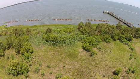 Die-Drohnenaufnahme-Zeigt-Bucht,-Wellenbrecher,-Pier-Und-Ufervegetation