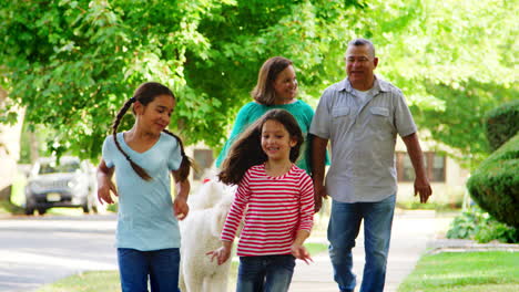 abuelos y nietas caminando con el perro por la calle
