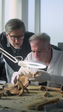 archaeologists examining fossil bone