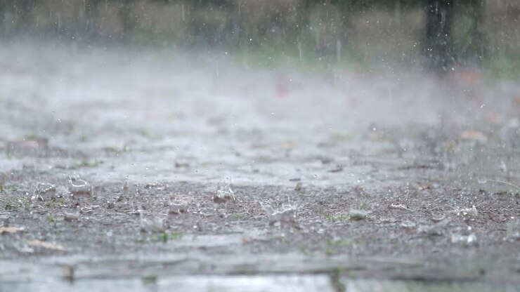 Close-up view of the rain
