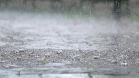 close-up view of the rain