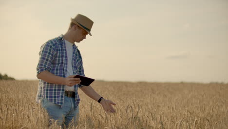 Un-Hombre-Con-Sombrero-Y-Jeans-Con-Una-Tableta-En-Cáncer-Toca-Y-Mira-Los-Brotes-De-Centeno-Y-Cebada,-Examina-Las-Semillas-Y-Presiona-El-Dedo-En-La-Pantalla-Táctil-Al-Atardecer.