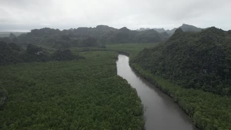 Recorra-Montañas-Brumosas-Y-Una-Densa-Y-Verde-Jungla-Fluvial-En-Malasia