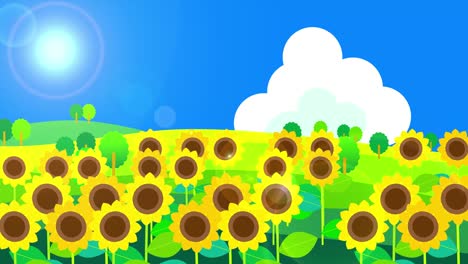 sunflower and blue sky in summer animation