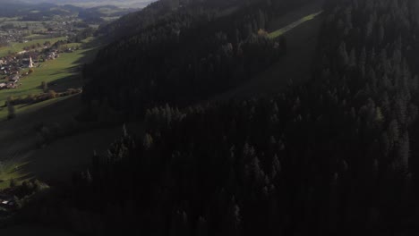 AERIAL:-tilting-up-drone-from-forest-with-mountain-view-and-green-valley