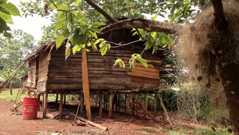 choza indígena en la selva en papua - primer plano de la red de pesca