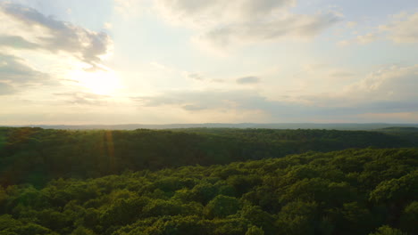 Aerial-drone-flying-backward-through-green-summer-forest-at-sunset-with-warm-yellow-and-orange-sky-presenting-a-peaceful-summer-environment-in-Pennsylvania