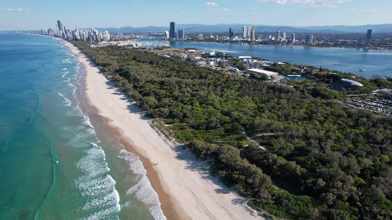 vegetación exuberante en el spit de southport, playa principal en la costa de oro, qld australia