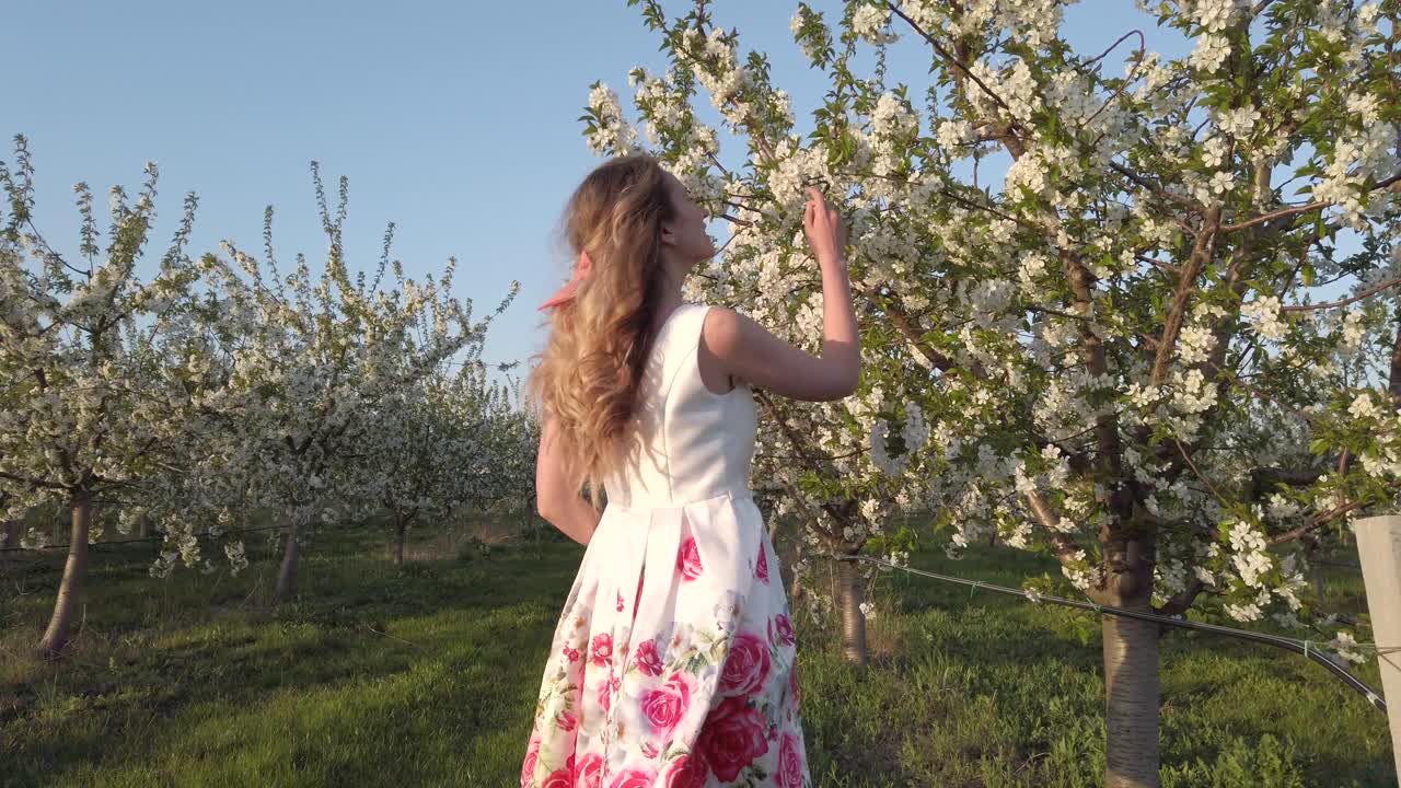 Happy woman having fun in an orchard of blooming blossom cherry trees