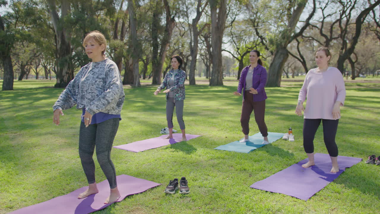 Group of Women Practicing Yoga or Tai Chi in a Park