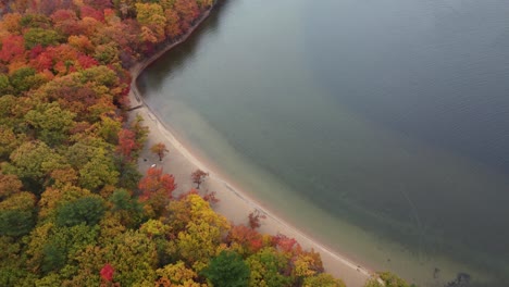 stunning aerial shot of secluded beach with still water in the middle of magically colourful and dense forest