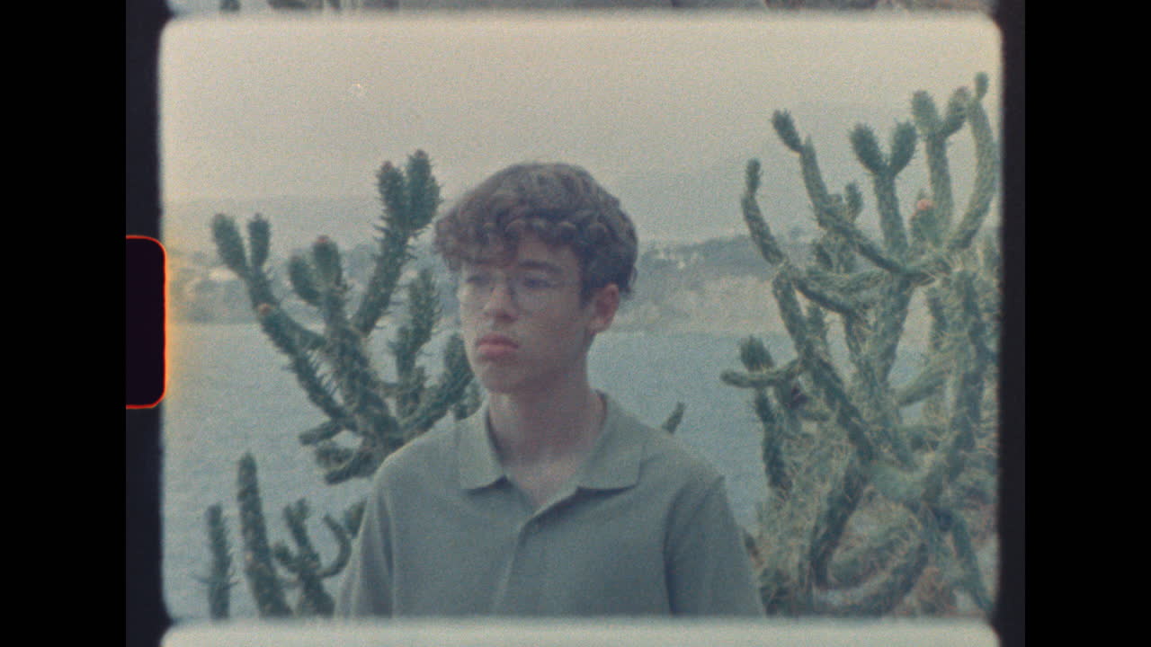A boy standing near cactuses