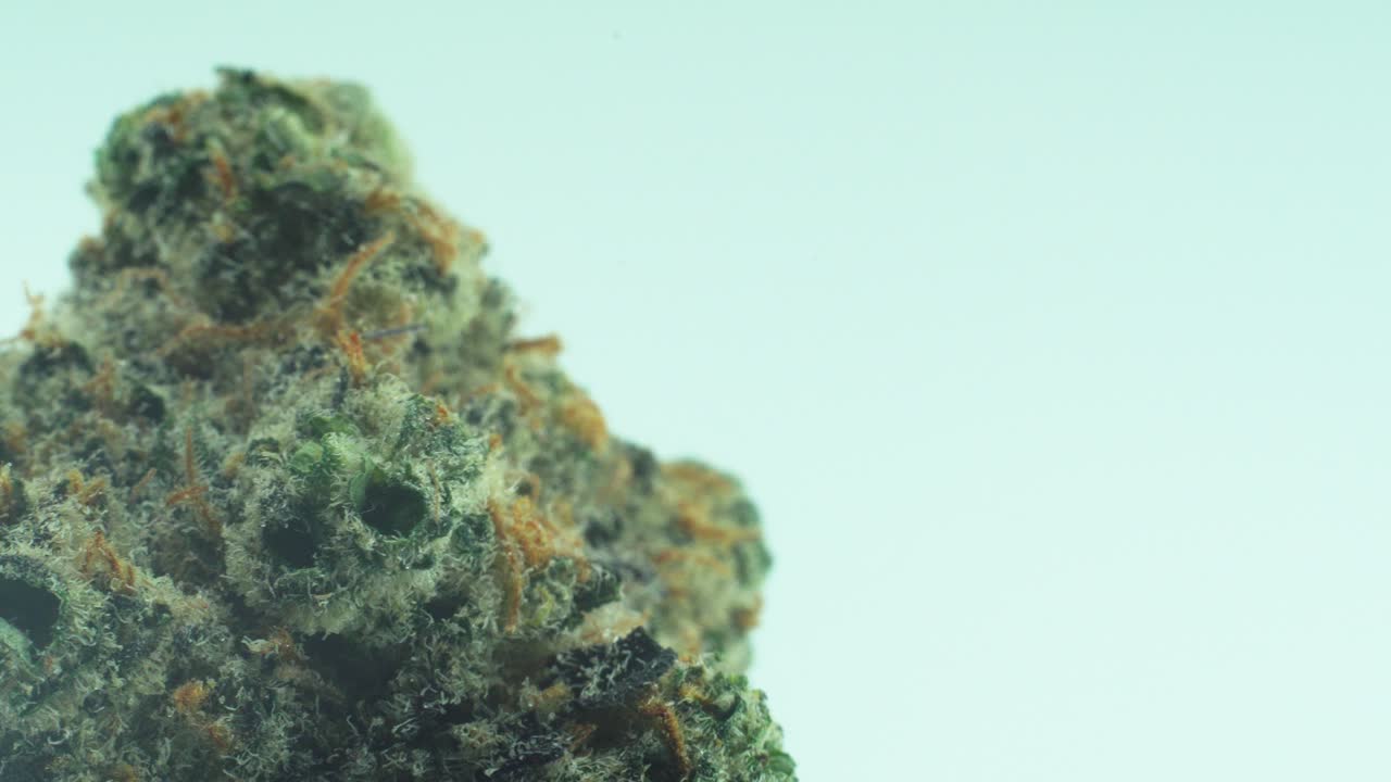 Macro Close up shot of a Marijuana sativa Super Lemon Amnesia Haze rock flower, yellow, green and purple Kush, on a 360 rotating stand, Slow motion 4K video