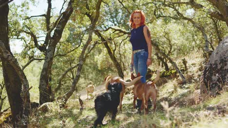 woman and dogs walking through a sunny forest